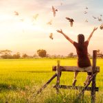 freedom quotes