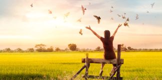 30 Best Inspirational Freedom Quotes Of All Time (Updated 2023) freedom quotes