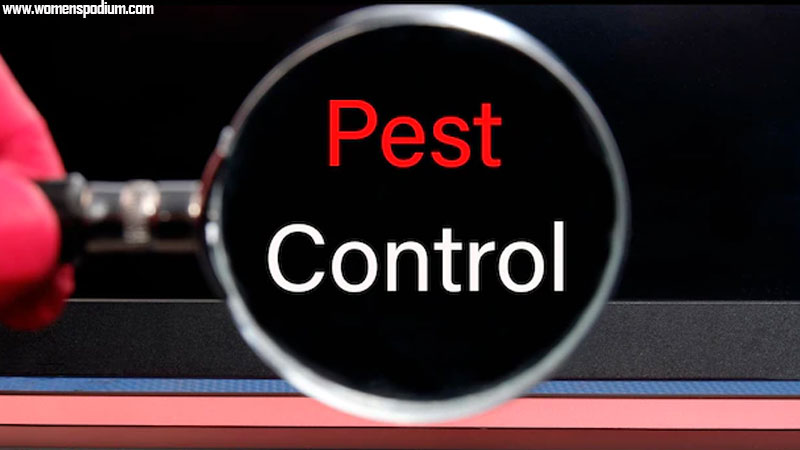 pest control