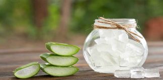 How, Why, And When To Use Aloe Vera Gel In Skincare Routine? when to use aloe vera