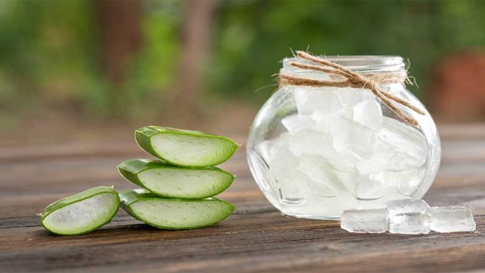 when to use aloe vera