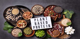 Why Are Alternative Protein Sources Or Plant-Based Proteins Becoming More Popular? alternative-protein-source