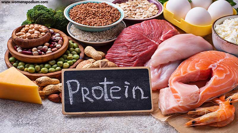 animal based protein