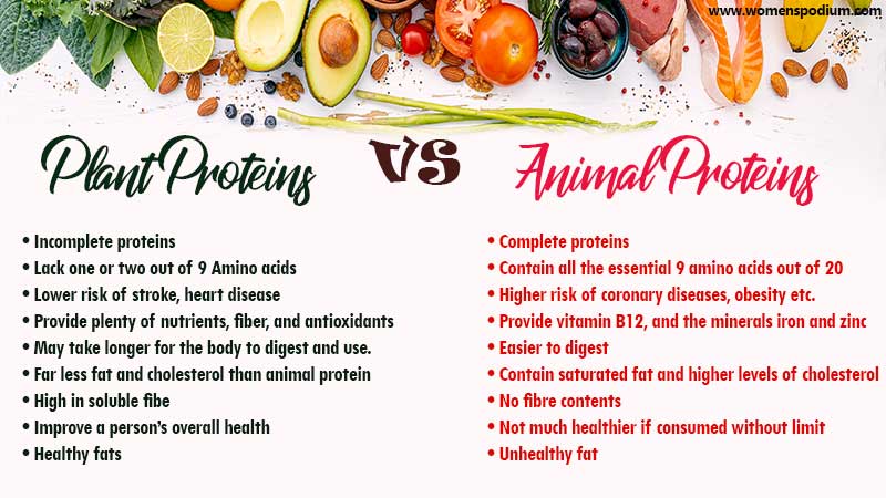 Plant Proteins Vs Animal Proteins