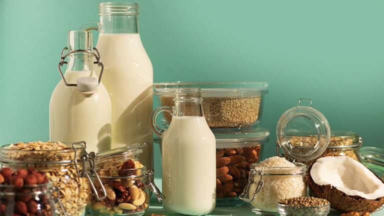 Which Non- Dairy Milk is Best? 8 Healthy Vegan Milk Options To Choose Which Non- Dairy Milk is Best? 8 Healthy Vegan Milk Options To Choose