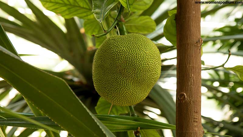 is jackfruit healthy