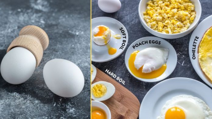 3 best egg cooker