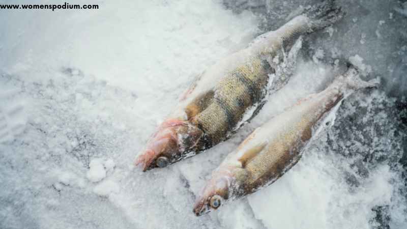 Artic Char