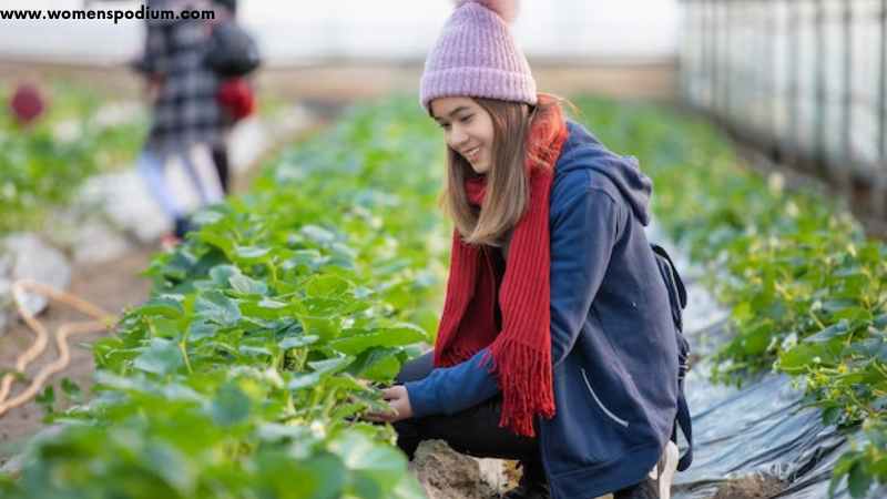 Hardy Vegetables - how to grow vegetables in the winter