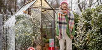 The Art of Gardening! How To Grow Vegetables In The Winter? how to grow vegetables in the winter