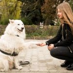 Signs Your Dog Imprinted on You