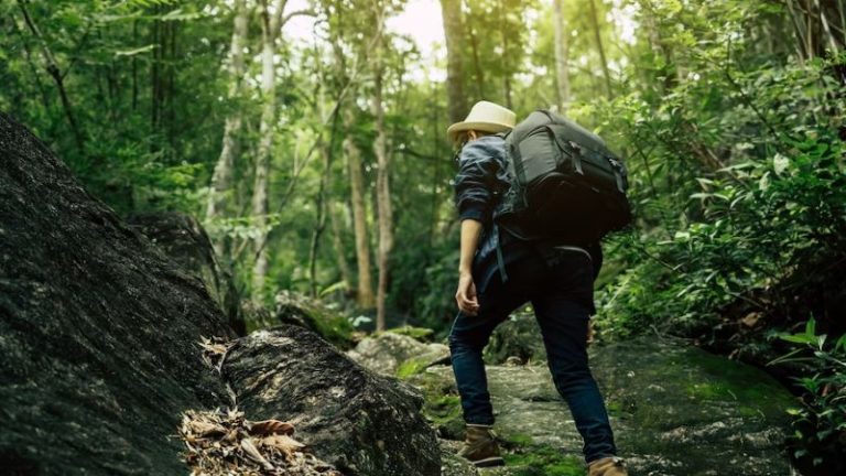 25 Wilderness Quotes For Nature Lovers || Embracing Earth’s Symphony: A Journey into the Wilderness ||