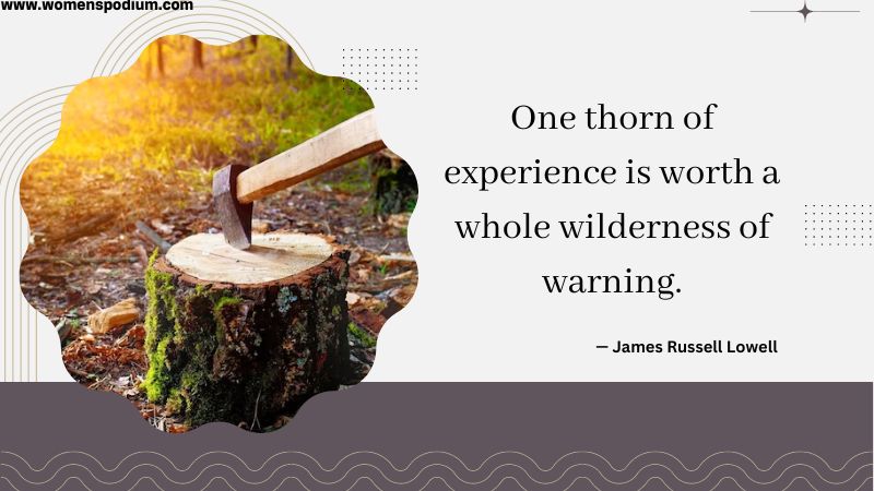 wilderness - warning- quotes