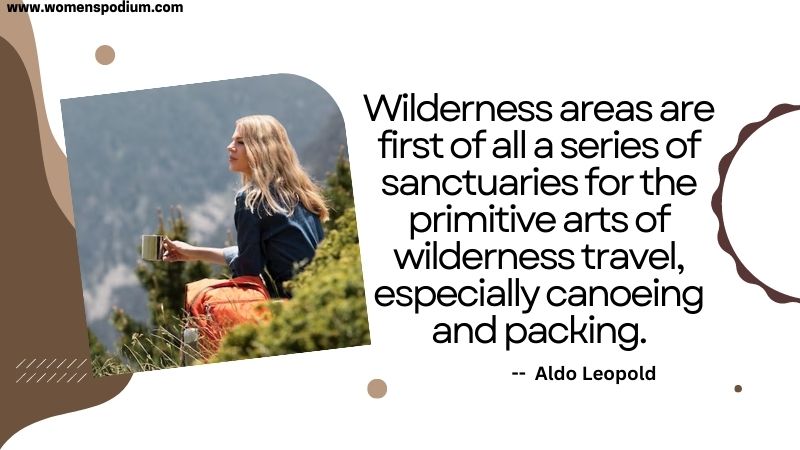 wilderness - Art - quote