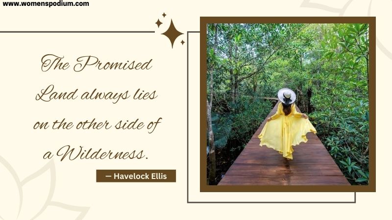 wilderness is promise land - quotes
