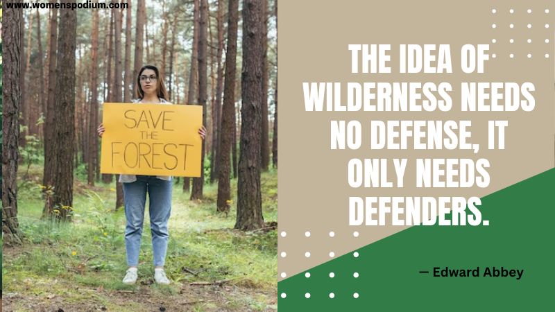 wilderness - save forest - quotes